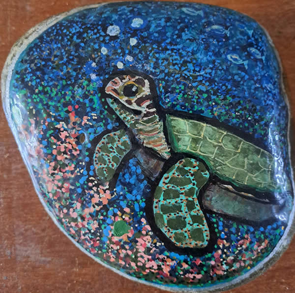 Tortuga