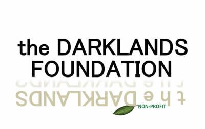 Darklands Foundation Silent Auction